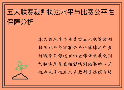 五大联赛裁判执法水平与比赛公平性保障分析