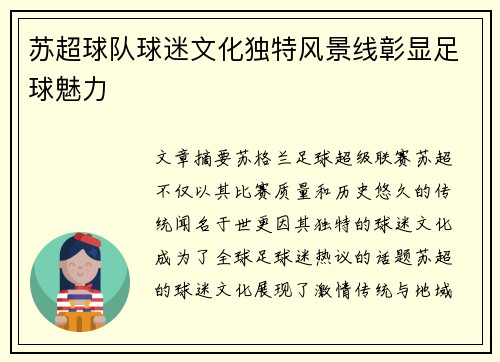 苏超球队球迷文化独特风景线彰显足球魅力