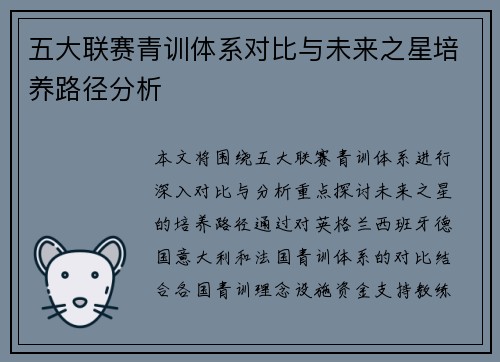 五大联赛青训体系对比与未来之星培养路径分析